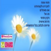 הדליין המגזין הישראלי לשיער מאחלים לכם חג שמח